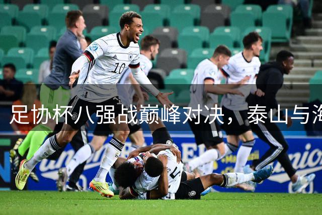 足协杯八强战巅峰对决，泰山与海港一决高下
